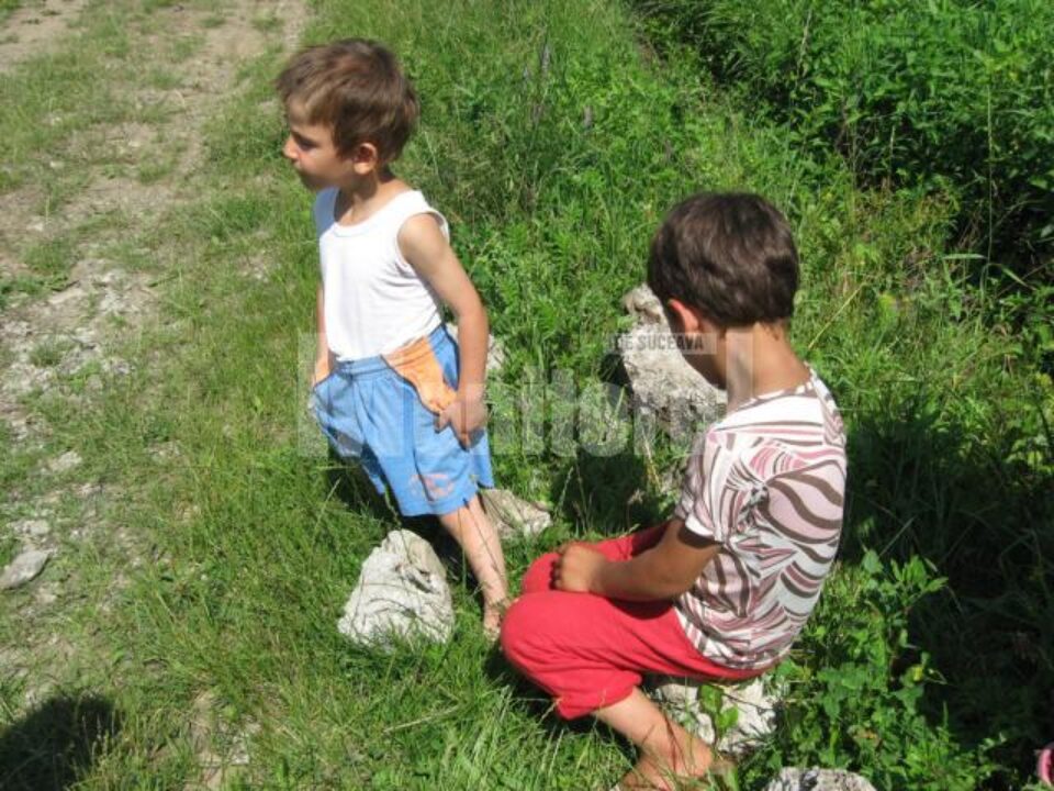 Frații luați în asistență maternală