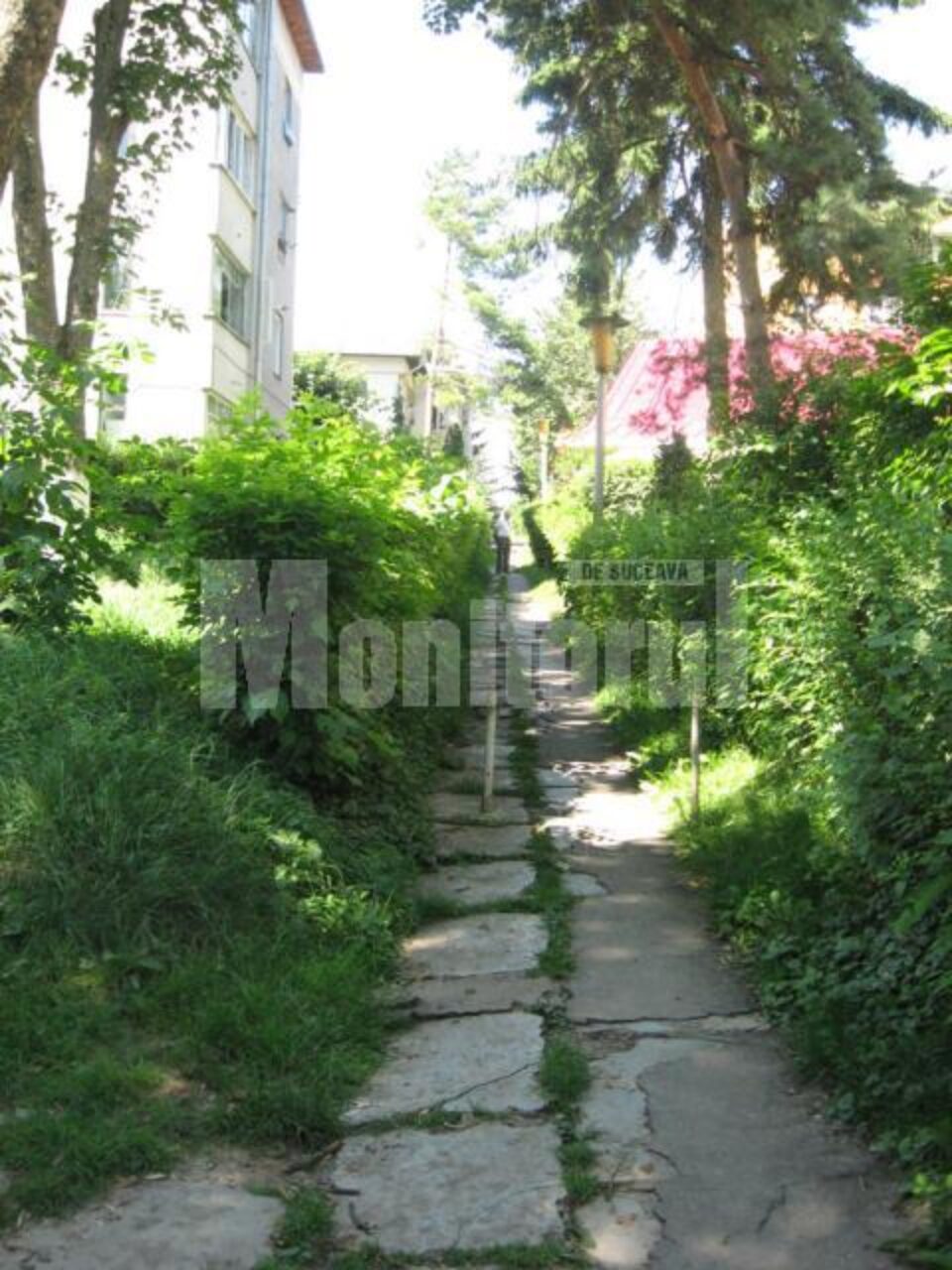 Jaf de 400.000 de lei, la câteva sute de metri de centrul Sucevei