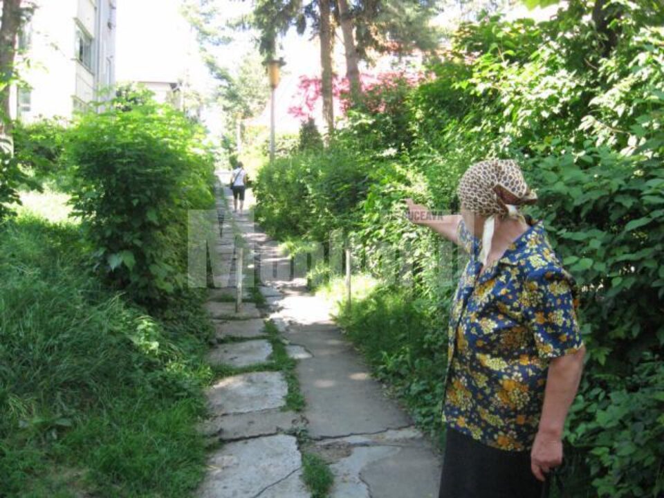 Mama valutistului jefuit arată spre locul în care fiul ei a fost lovit și lăsat fără bani