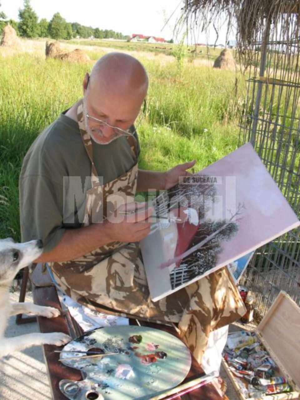 Pictorul Costică Onuță