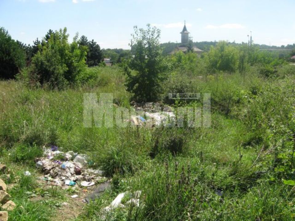 Curtea Domnească a Sucevei