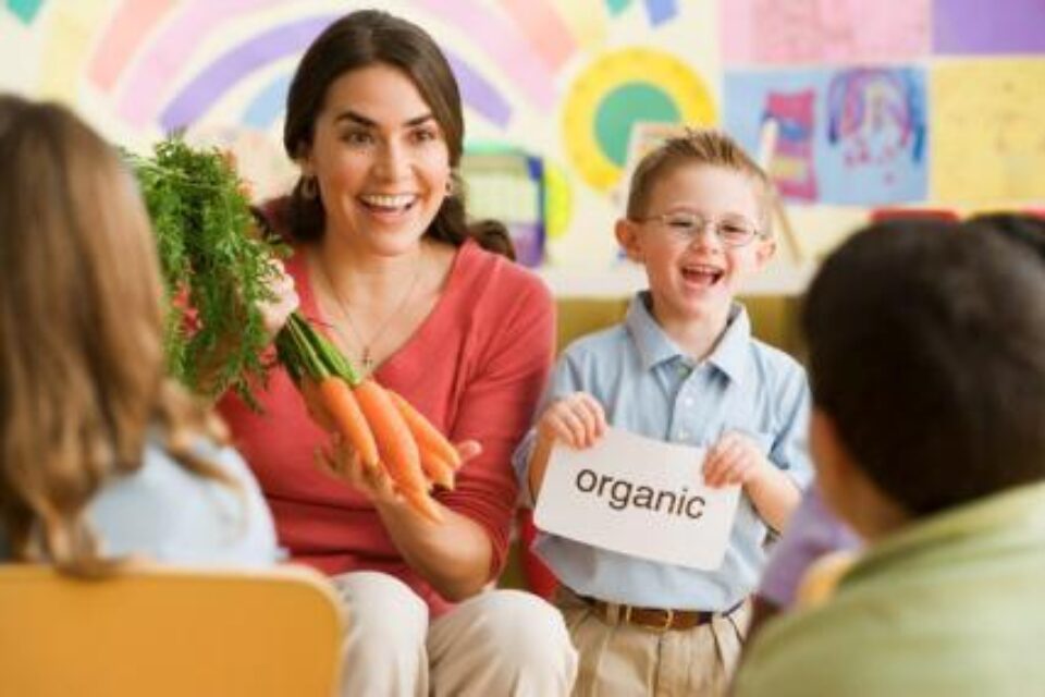 Alimentele organice nu au calități nutriționale mai mari decât produsele alimentare obținute prin metode convenționale. Foto: CORBIS
