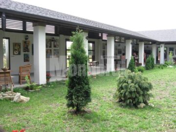 Expoziția prezentată pe terasa interioară a hanului
