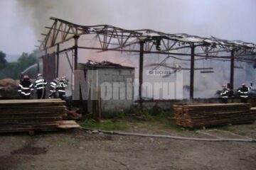 Incendiu: Gater din Râșca ars din temelii