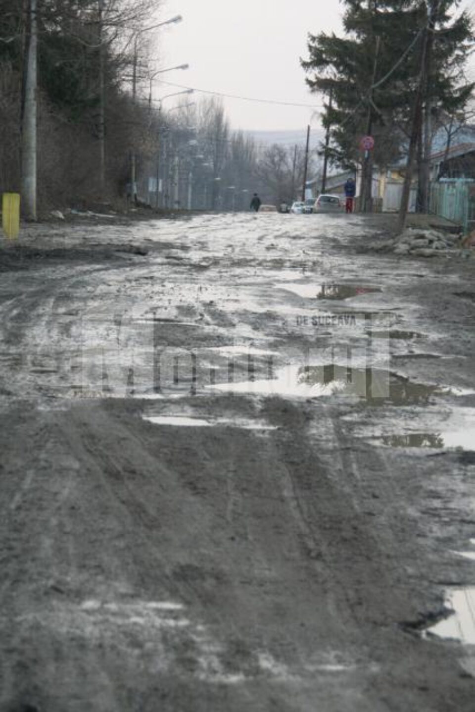 Strada Cernăuți