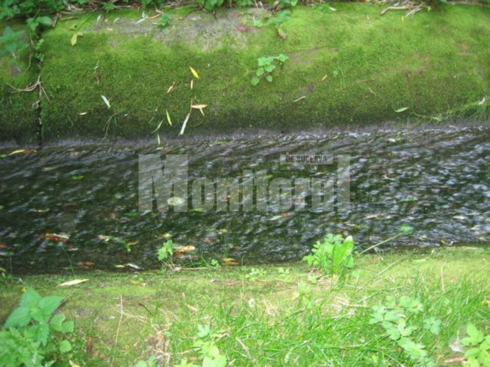 Inconștiență: Drenurile din Parcul Șipote, lăsate de izbeliște de 12 ani