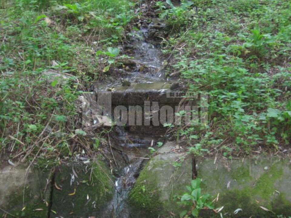 Rețeaua de drenuri din Parcul Șipote este lăsată de Primăria Suceava în voia sorții de ani de zile