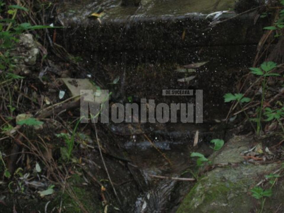 Inconștiență: Drenurile din Parcul Șipote, lăsate de izbeliște de 12 ani