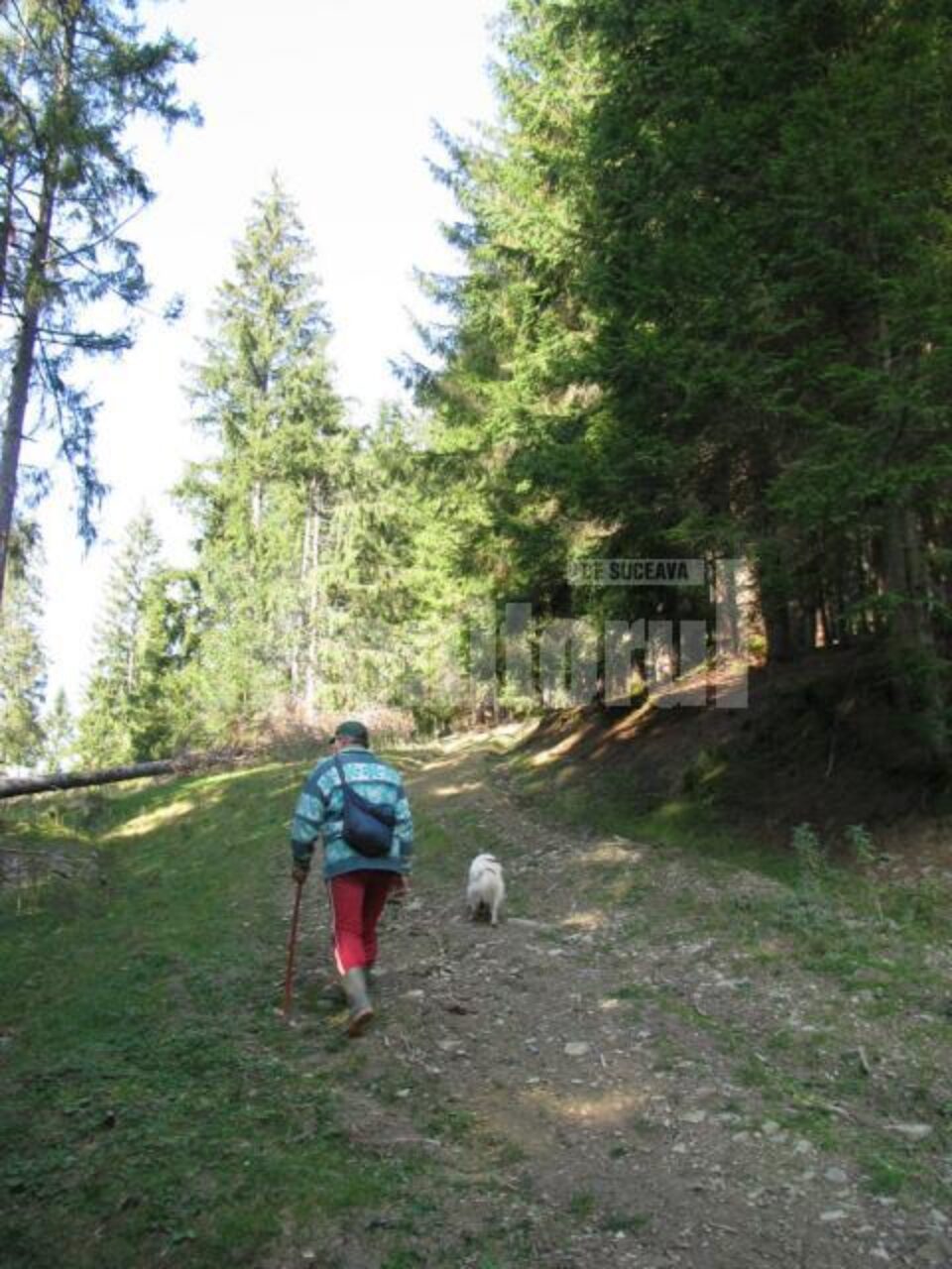Măsură: Trasee montane închise din cauza doborâturilor neexploatate