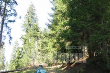 Măsură: Trasee montane închise din cauza doborâturilor neexploatate