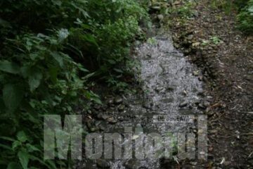 Punctul de plecare a piriului cu dejecții