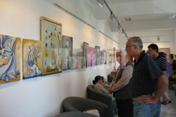 Vizionarea expoziției Aeris