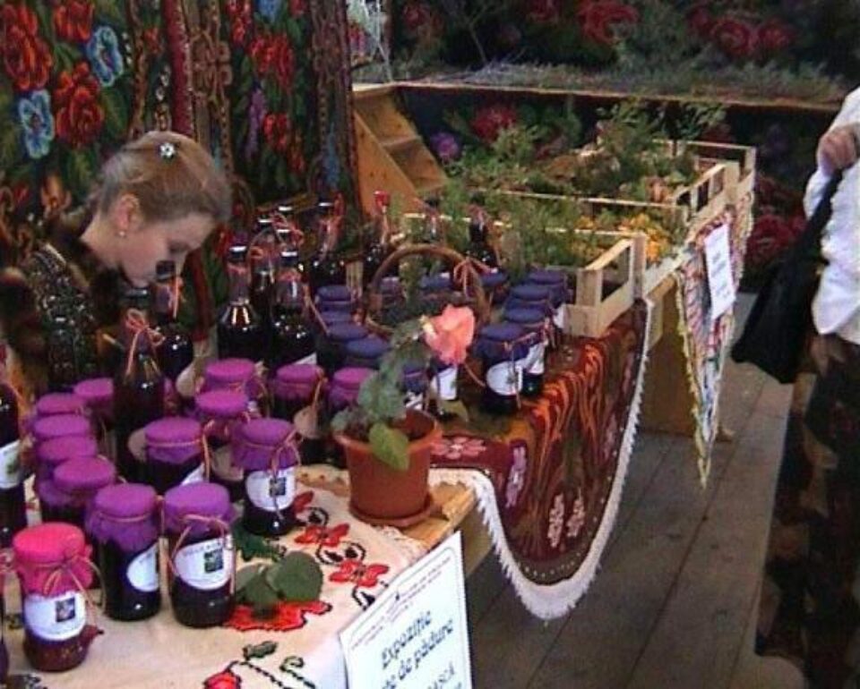 5- 6 septembrie: Festivalul Fructelor de Pădure, la Coșna