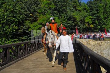 Intrarea lui Mihai Viteazul în Cetatea Sucevei