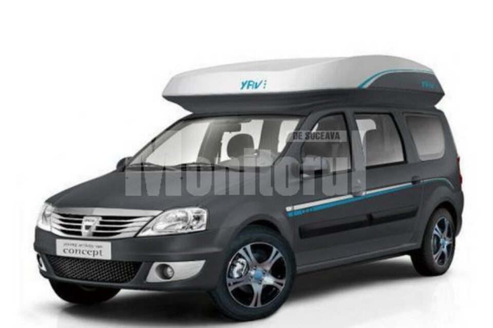 Dacia Young Activity Van III