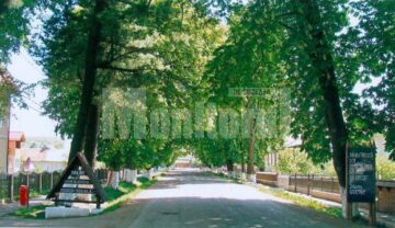 Eficiență: Mălini a scos lipitorile bugetare și urcă spre stațiune turistică