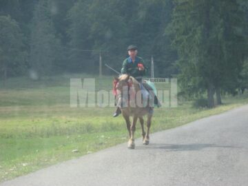 Eficiență: Mălini a scos lipitorile bugetare și urcă spre stațiune turistică