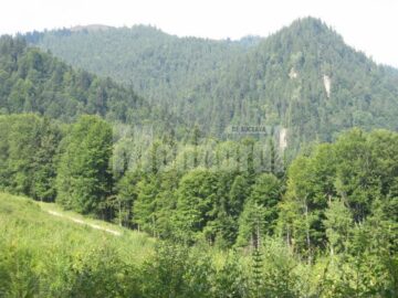 Eficiență: Mălini a scos lipitorile bugetare și urcă spre stațiune turistică