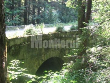Lecție: Cele mai tari poduri din județ, construite de italieni la Mălini