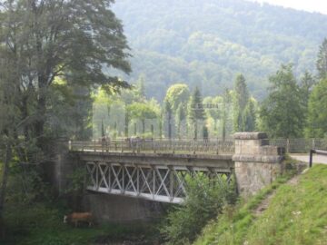 Lecție: Cele mai tari poduri din județ, construite de italieni la Mălini