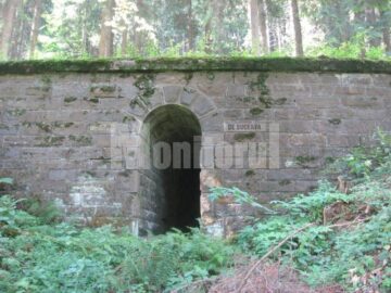 Lecție: Cele mai tari poduri din județ, construite de italieni la Mălini