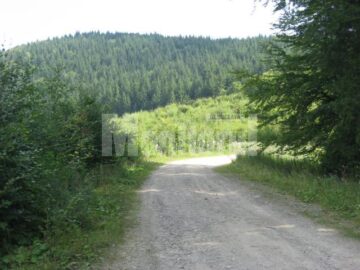 Lecție: Cele mai tari poduri din județ, construite de italieni la Mălini