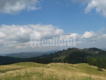 Lecție: Cele mai tari poduri din județ, construite de italieni la Mălini