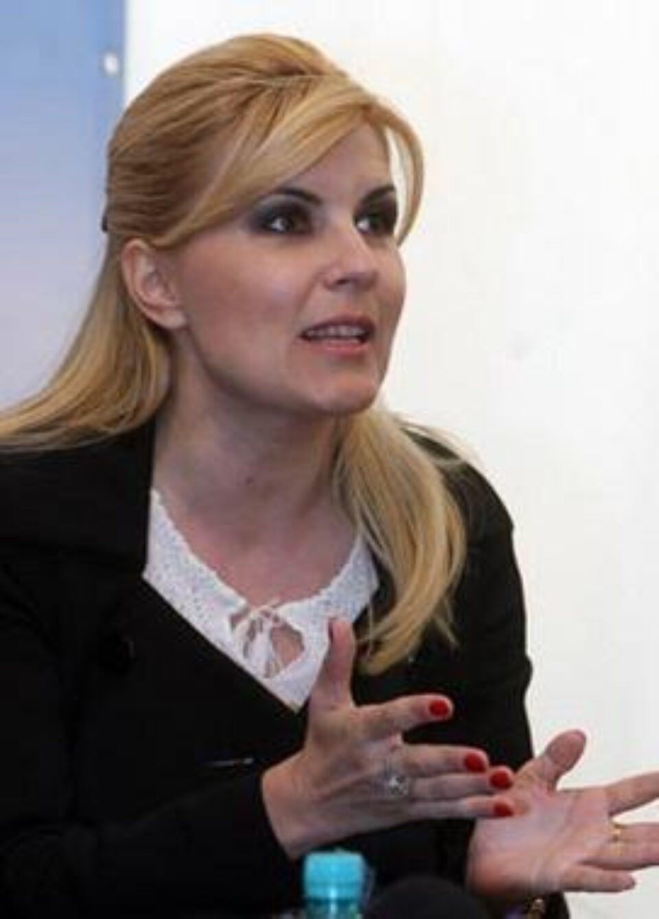 Elena Udrea, ministrul Turismului. Foto: MEDIAFAX
