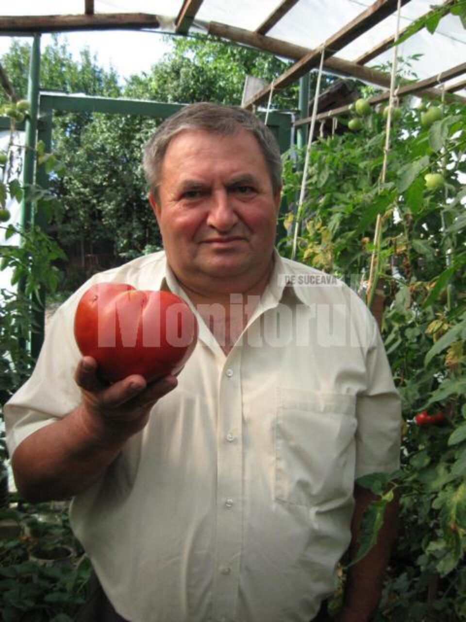 Doctorul Ioan Pop și roșia uriașa din gradina sa