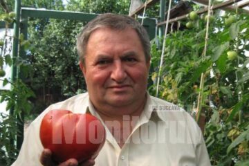 Doctorul Ioan Pop și roșia uriașa din gradina sa