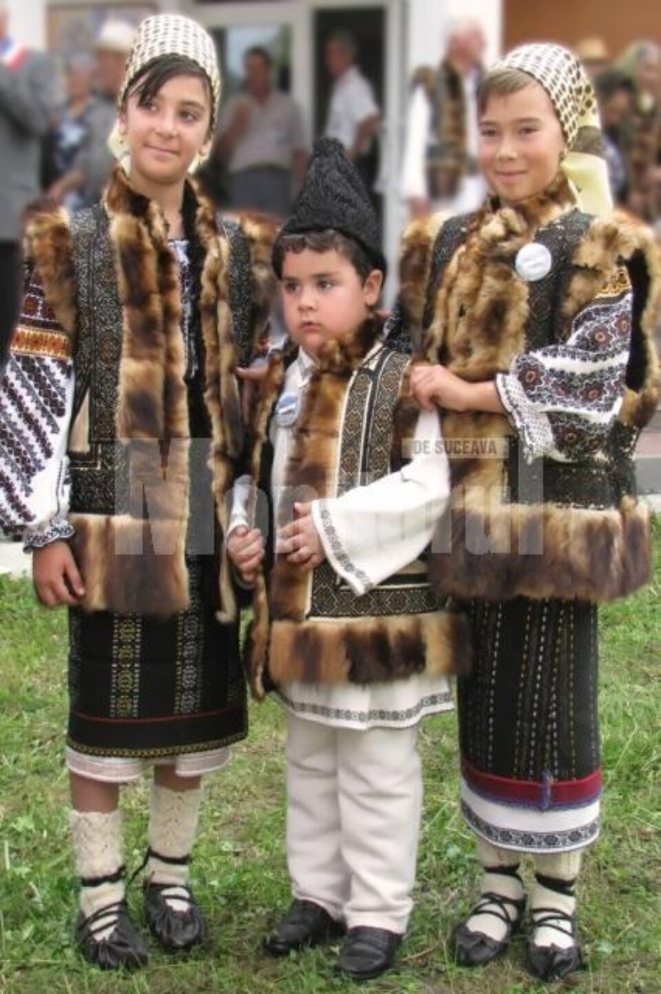 Micii gospodari