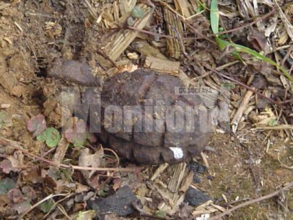 Intervenții pompieri: Muniție explozivă, descoperită în trei locații diferite, într-o singură zi