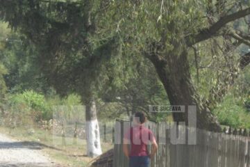 Minorul era stresat, confuz, „nu știa care îi este rolul în familie” și „simțea lipsa afectivității”
