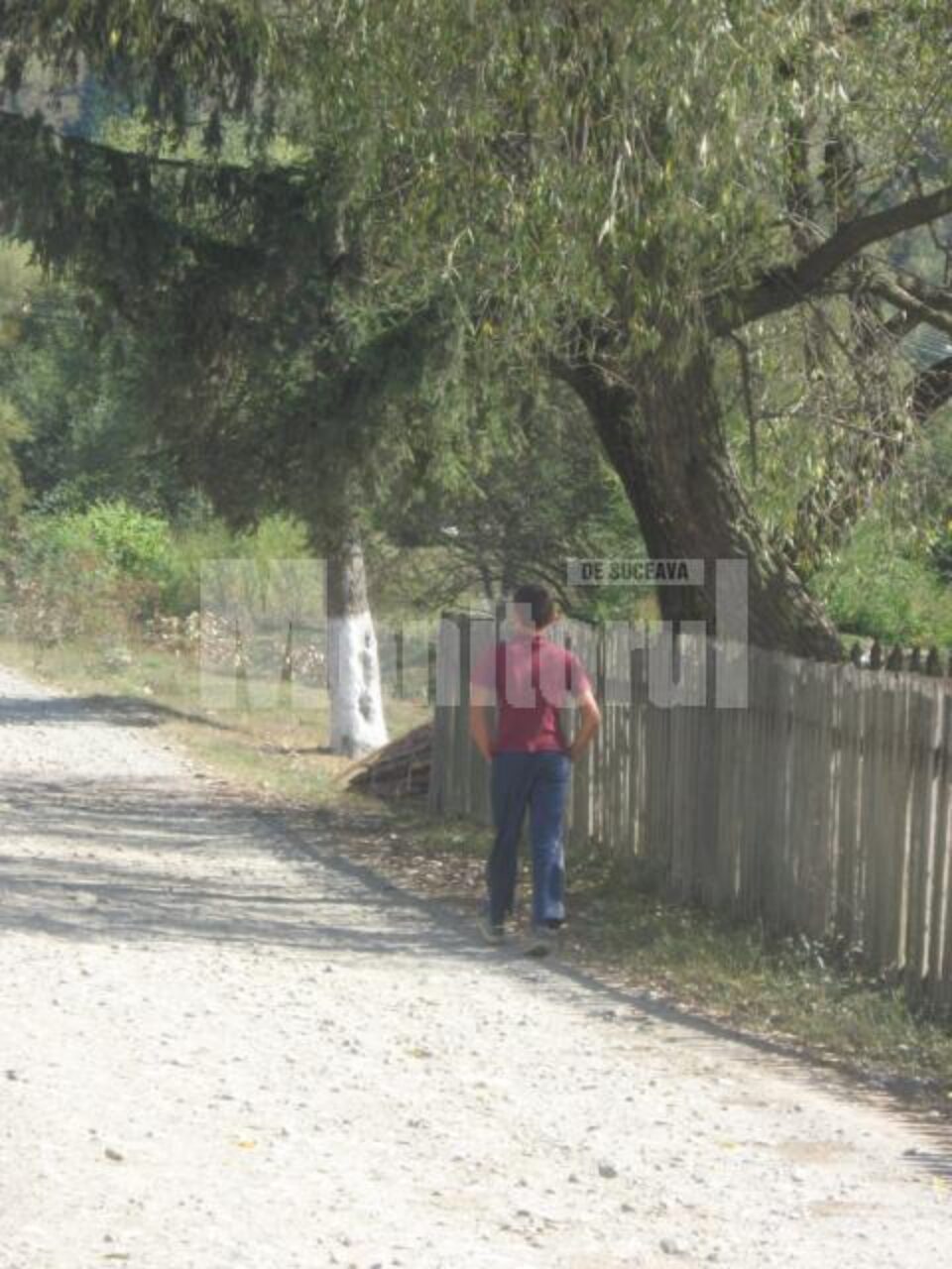 Minorul era stresat, confuz, „nu știa care îi este rolul în familie” și „simțea lipsa afectivității”