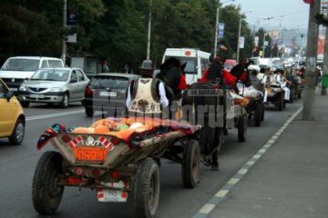Inedit: Produsele din Bucovina, vedetele Târgului de toamnă de la Iulius Mall