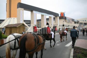 Inedit: Produsele din Bucovina, vedetele Târgului de toamnă de la Iulius Mall