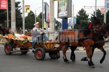 Inedit: Produsele din Bucovina, vedetele Târgului de toamnă de la Iulius Mall