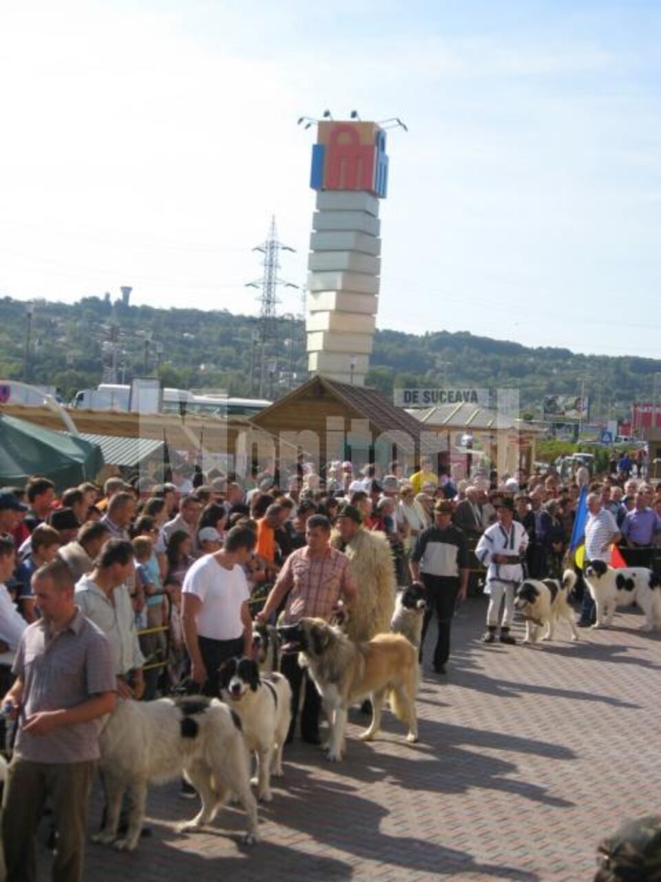 Câinii ciobănești au cucerit mulțimea adunată la Iulius Mall