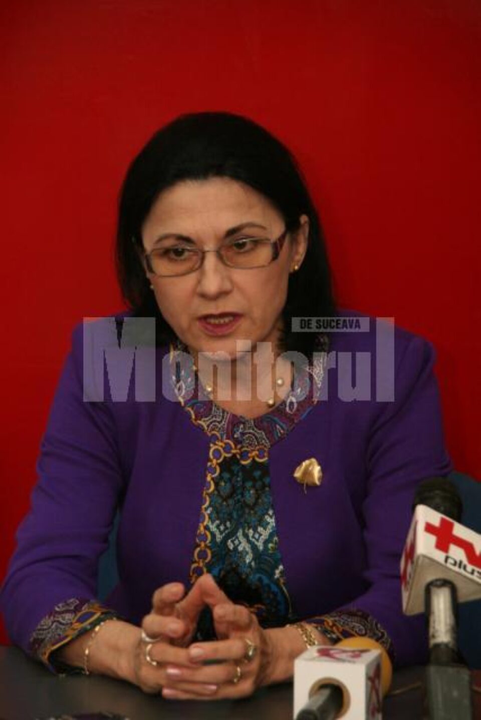 Ministrul Educației, Ecaterina Andronescu