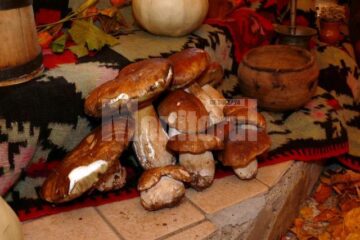 Festivalul hribului –ediția I