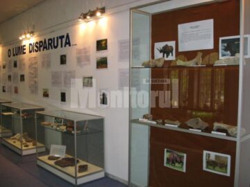 Expoziția „O lume dispărută”