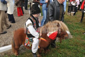 Expoziție canină: Regalul Ciobănescul de Bucovina, la Vatra Dornei