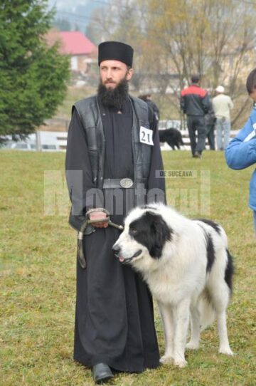 Expoziție canină: Regalul Ciobănescul de Bucovina, la Vatra Dornei