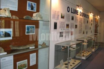 Expoziția „O lume dispărută”