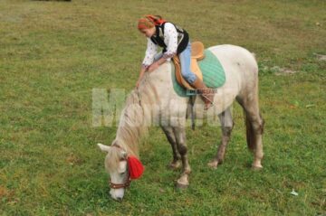 Expoziție canină: Regalul Ciobănescul de Bucovina, la Vatra Dornei