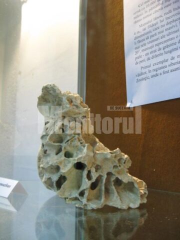 Expoziția „O lume dispărută”
