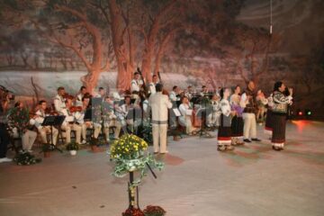 Orchestra Ansamblului