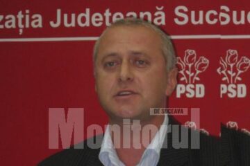 Constatare: Milici: „Cruciada PD-L împotriva primarilor PSD a eșuat lamentabil”