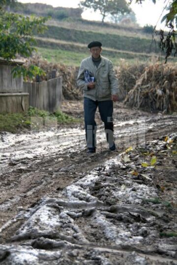Suceveni condamnati zilnic sa inoate prin glod