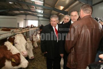 Campanie: Geoană vrea să câștige alegerile după „pârjolul portocaliu” de la Suceava, Botoșani și Neamț